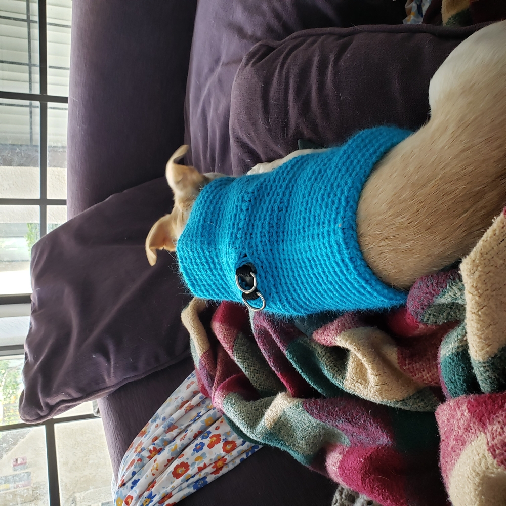Handmade DOG SWEATER -- Rust - Picture 5 of 5